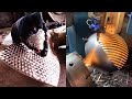 Professional &amp; Smart Workers Working, Most Satisfying Factory Machines &amp; Ingenious Tools #3