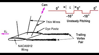Trailing Vortices Generated by Steady and Unsteady Pitching of an NACA 0012 Wing