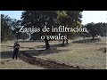 Swales, zanjas infiltración. Agricultura Regenerativa