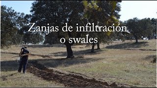 Swales, zanjas infiltración. Agricultura Regenerativa