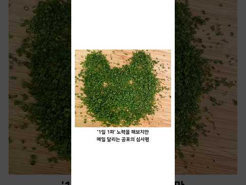 매일 한 컵의 파를 써는 남자ㄷㄷ
