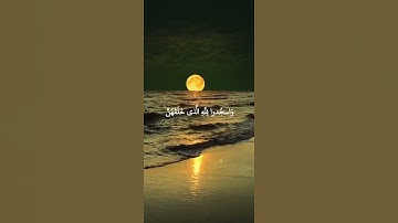 سورة فصلت: القارئ اسلام صبحي