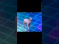 Trying different memes and trends using gifs/images Part 3!!!