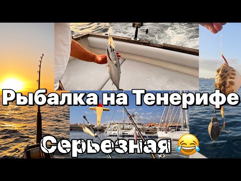 Тенерифе  Рыбалка в океане у берегов Тенерифе . #таещекулинарка