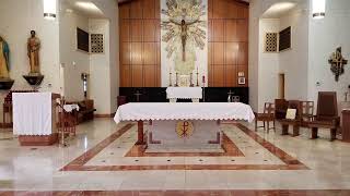 Sunday Mass May 31, 2026