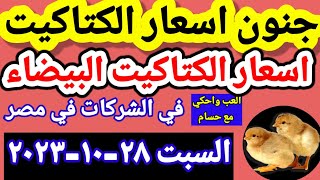 سعر الكتكوت اسعار الكتاكيت اليوم السبت ٢٨-١٠-٢٠٢٣ في الشركات في مصر