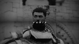 jay wheeler - rubio (slowed + reverb)