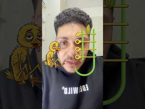 The Corn Reached The Duck So She Could Win Shortsvideo