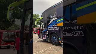 Go with MOON PlanetBus From Kuningan #tunggaljaya #tunggaljayatransport #tunggaljayakidspanda