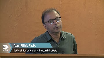 Report: Computational Genomics and Data Science Program Workshop - Ajay Pillai