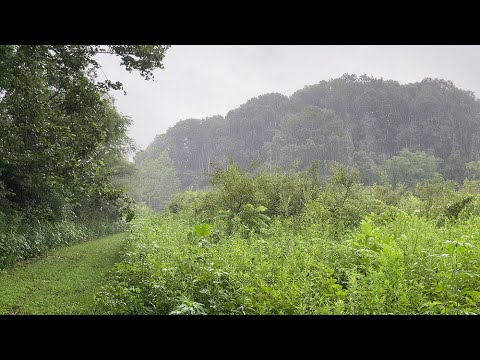 Video: Populārākie parki Indianapolisā, Indiānā