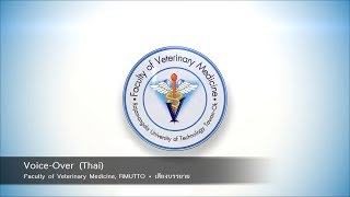 Voice-Over (Thai) - Kenneth - RMUTTO
