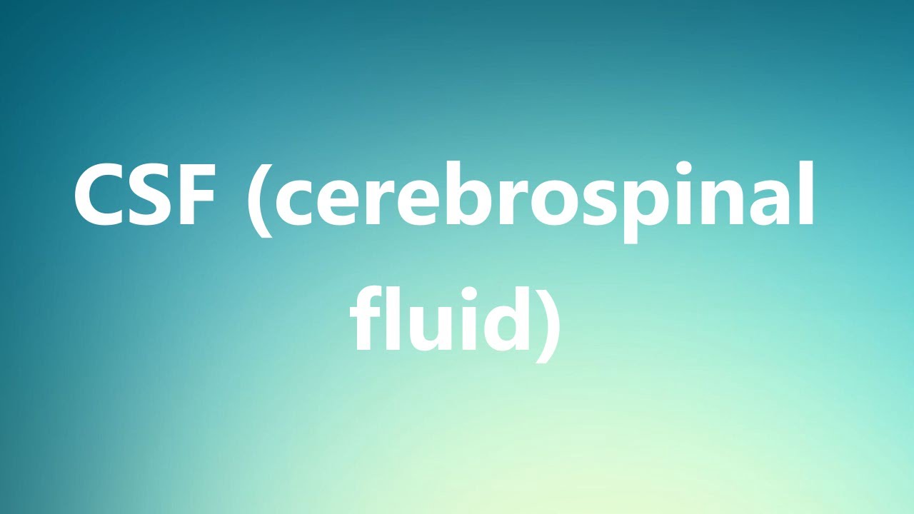 CSF (cerebrospinal fluid) Medical Meaning YouTube