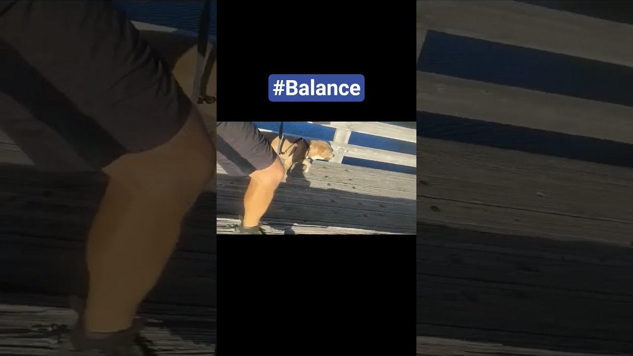 Balance Training for Running and Life. 