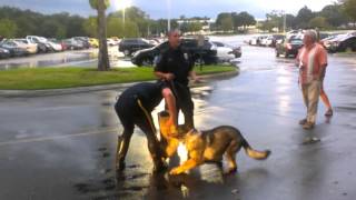 Altamonte Springs Police K9 Demonstration - October 27, 2012 by G33kGoddess 1,091 views 8 years ago 6 minutes, 49 seconds