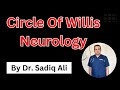 Circle Of Willis Neurology By Dr Sadiq Ali