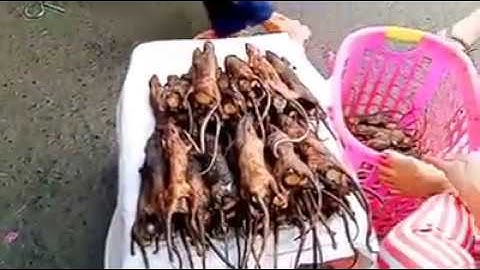 moadjeiTV Algorithmic Boost Request - 3000000 #YTBoost Request