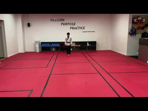 2021 백석대학교 총장배 온라인 국제 태권도 대회 ( Junior 결승전 태백 -Daniel Zhen)