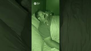 "Котенок подходит и кладет мышку в рот.mp4" (45 символов)