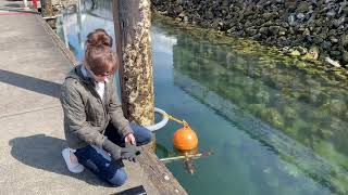 Basic Observation Buoy (BOB) Experiment: Sampling Abiotic Factors
