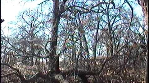 Little Bit Of Sympathy debris video