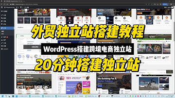 跨境电商独立站搭建教程，WordPress外贸建站指南，零基础网站搭建教程