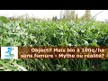 Produire 100qha de mas bio sans fumure  mythe ou ralit 