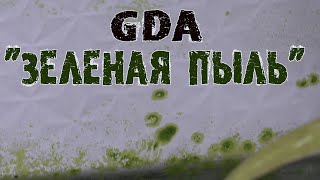 Водоросли GDA Зеленая Пыль