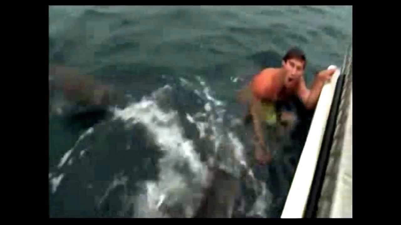 Guy almost dies from a shark attack! - YouTube