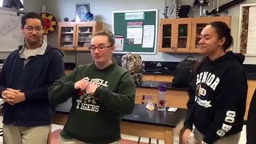 ASL Classifier Card Story-Mardi Gras