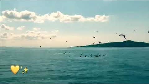 حالات واتس اب //دينية مقاطع انستغرام قصيرة//منظر جميل♡♡القارئ  إسلام صبحي