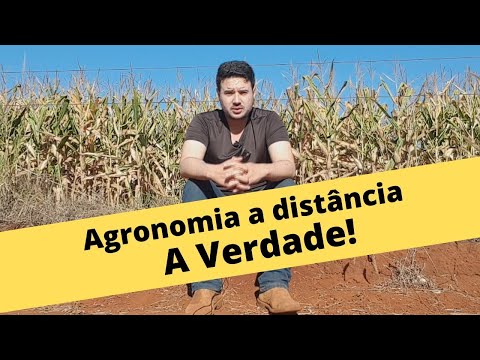 Agronomia EAD (a distância) - Vale a pena?