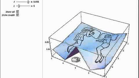 Solution of the Heat Equation for a Couple in Bed with a Cat