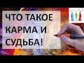 Что такое карма или судьба | Ответ внутри