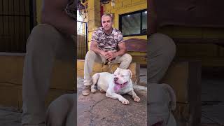 QUEM ENTENDE, TRANSFORMA