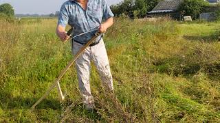 Auenherz Insektenoase 4, 10x Zeitraffer: So einfach geht Sensen nach einem Kurs beim sensenwerker.de