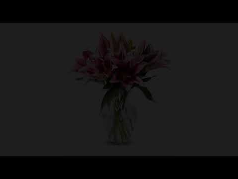 best-valentines-day-reviews!-benchmark-bouquets-8-stem-stargazer-lily-bunch,-with-vase-(fresh-cut..