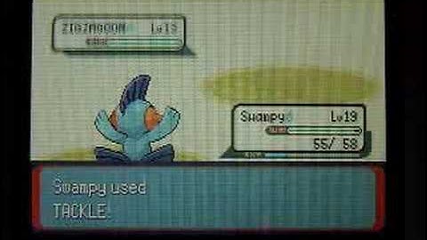 Pokemon Emerald Walkthrough Part 11: Day At The Beach