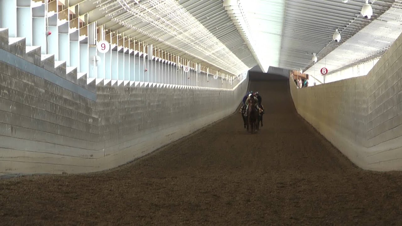 ＪＲＡ育成馬日誌 : 育成馬ブログ 日高④