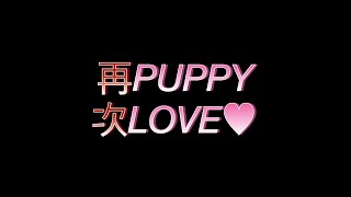 【打鼓台】再次Puppy Love - 193 (Drum Tab)