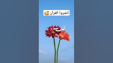 الذين صبروا وعلى ربهم يتوكلون #تلاوات خاشعه # الشيخ عبد الرحمن مسعد 🥹🥺😴🌼