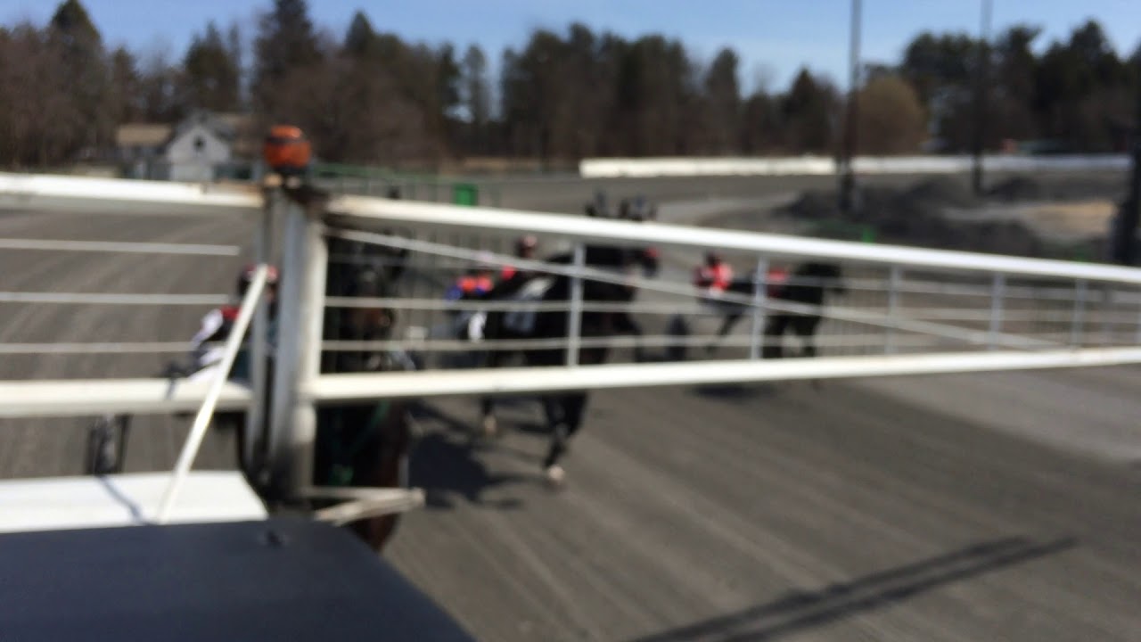 Saratoga Harness Track Schedule Today Saratoga Harness Track Schedule Today