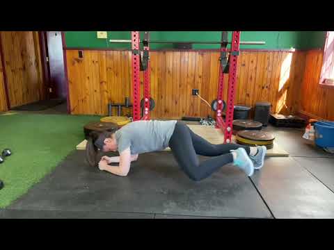 Forearm Plank Plus Hip Flexion