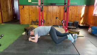 Forearm Plank Plus Hip Flexion
