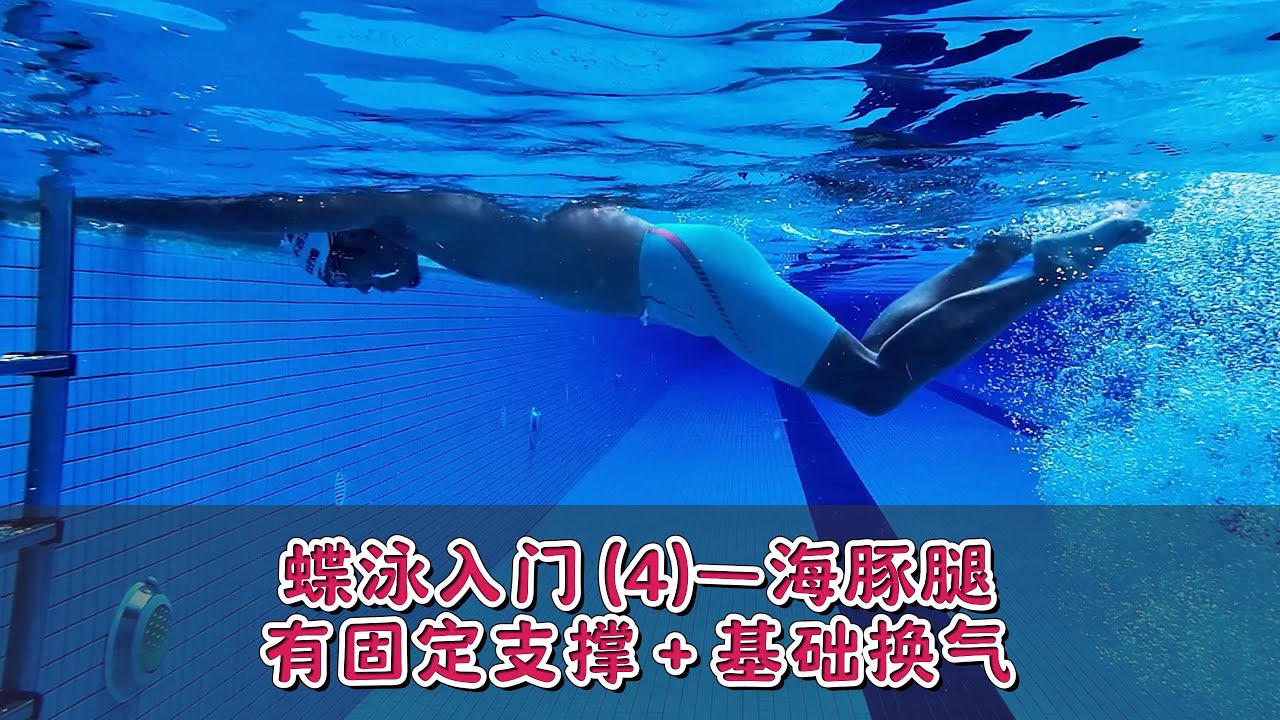 蝶泳入门（4）海豚腿，有固定支撑水中练习+蝶泳基础换气