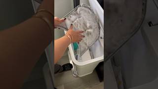 Dryer cleaning! #clean #dryer #lint #trending #laundry
