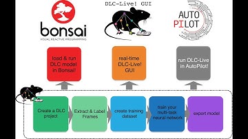 DeepLabCut-Live! Real-time DeepLabCut for online feedback