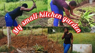 Transforming My Kitchen Garden:A Journey Of Growth. kitchengarden misslydia001.