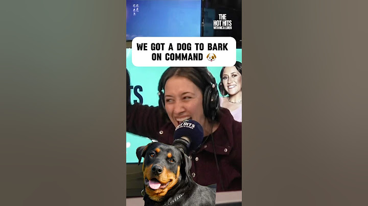 🐕get a dog to bark on command win a prize - Hot Hits #dogs #dog #barking