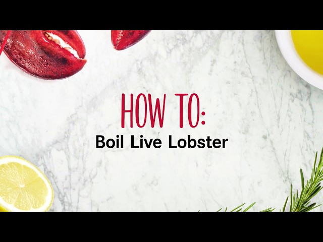 How to Boil Live Lobsters class=